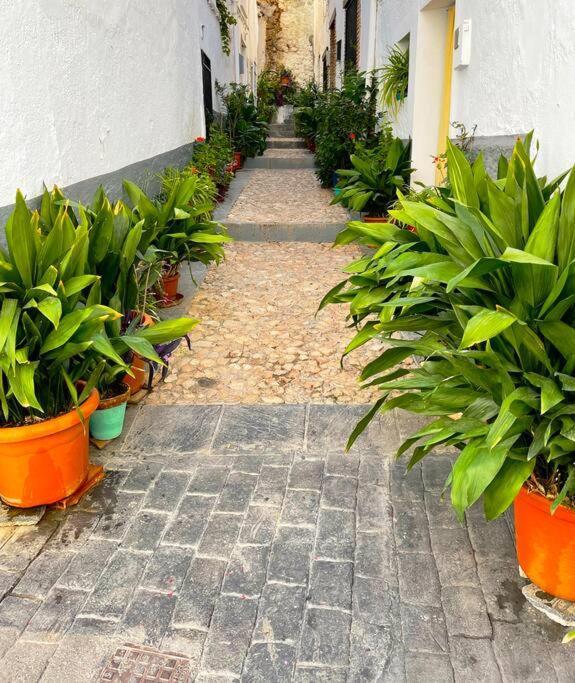 Ferienwohnung Mi Rincon Favorito Cogollos De La Vega Exterior foto